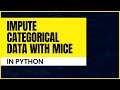 How to impute missing data in categorical features (using MICE)