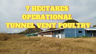 FOR SALE: 7 HECTARES TUNNEL VENT POULTRY, MANGATAREM, PANGASINAN