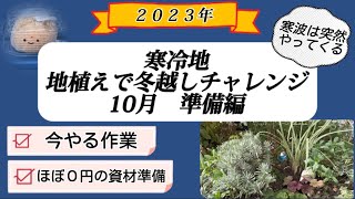 【冬越し対策】寒冷地でも諦めない！ 地植えで冬越し チャレンジ 2023 10月準備編 宿根草 一年草 屋外　ガーデニング 【2023-23】