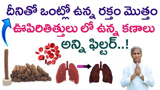 దీనితో ఒంట్లో ఉన్న Blood మొత్తం Lungs లో ఉన్న కణాలు అన్ని ఫిల్టర్ | Dr Manthena Satyanarayana Raju