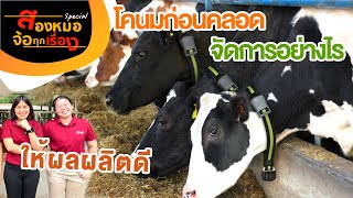 โคนมก่อนคลอดจัดการอย่างไรให้ได้ผลผลิตดี #สองหมอ จ้อทุกเรื่อง - Special Ruminant