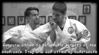 Waza Wednesday 9-2-15 - Passai Dai Oyo Bunkai