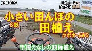 ３ａの田んぼ・田植え　5条の額縁植え　田んぼ・2024　20240502 クボタ・田植機　AW5 ミルキークィーンとキヌヒカリの混植栽培