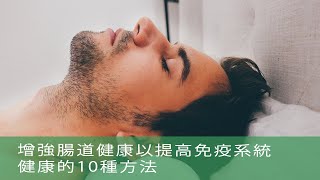 增強腸道健康以提高免疫系統健康的10種方法