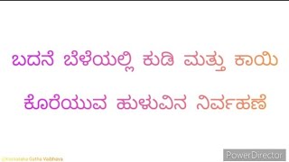 ಬದನೆ ಬೆಳೆಯಲ್ಲಿ ಕುಡಿ ಮತ್ತು ಕಾಯಿ ಕೊರೆಯುವ ಹುಳುವಿನ ನಿರ್ವಹಣೆ|Management of scion and nut borer in brinjal