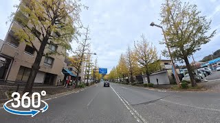 【VR 360°】【日本 東京】散步 in 八王子イチョウ並木