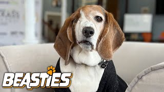 I Lost My Eye To Cancer | BEASTIES