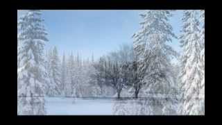 Winter Solstice: New Age for Relaxation, Sleep Music, Ambient Music, Skyfall inspitation video