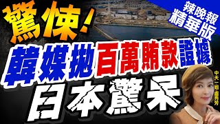 【盧秀芳辣晚報】韓媒秀機密對話紀錄  再控日方涉提供原能會資金 @中天新聞CtiNews  精華版