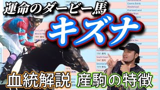 【血統解説】キズナは意外と重たい！？本馬と産駒の血統を徹底解説！【キズナ】【ソングライン】【ディープボンド】