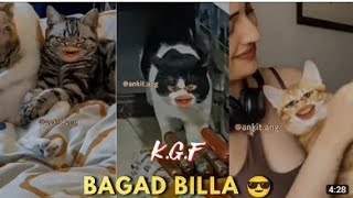 K.G.F bagad billa 😎😎