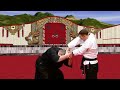 samuraiki self defence secrets of aiki jutsu