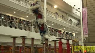 丹马安满关圣宫龙狮团 Kun Seng Keng Lion and Dragon Dance Association