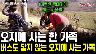 버스도 닿지않는 산골 꼭대기 한 오지에는 딱 한 가족만 살고있다. 해발 1,300m 매봉산 고랭지, 여기에도 사람이 산다. [사람과사람들] | KBS 2016.01.20