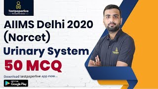 Urinary System MSN MCQ  | AIIMS Norcet Exam MCQ by Testpaperlive