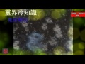 鬼的類別 靈界冷知識 ep29 ghosts categories trivia of spirit world