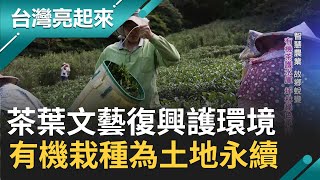 坪林茶場的