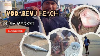 Vodarevu beach fish market | chirala beach |