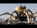 巨大なクモ横浜ベイサイドに出現！huge spider ［ＨＤ］