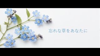 忘れな草をあなたに/Cover by 来夢来人　　　（オリジナル/菅原洋一・倍賞千恵子・森昌子・他）