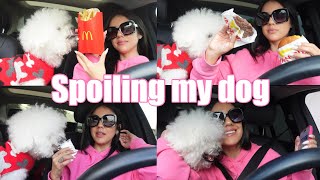 Spoiling My Dog | Petco + In N Out + McDonald’s + Starbucks