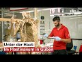 Unter der Haut: Im Plastinarium in Guben werden Leichen für die KÖRPERWELTEN präpariert