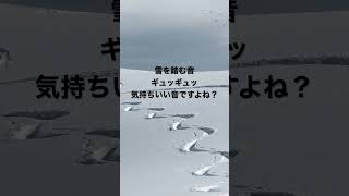 【超雪を踏むBGM】日常のシーンに合わせて！