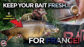 ***HOW TO KEEP YOUR BAIT FRESH FOR FRANCE*** DEVASTATING ABBEY LAKES MIX | DNA BAITS | CARP FISHING