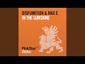 In the Sunshine (Don Palm & Johan Wedel Remix)