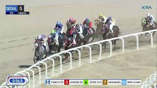 (Seoul) 2025.02.08 R5 Class 5 (1400M) Handicap