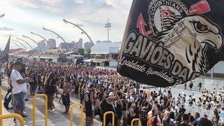 GAVIÕES DA FIEL ENSAIO TÉCNICO AO VIVO NO ANHEMBI | CARNAVAL SP 2025 (09/02)