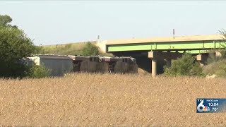 Deputies seek help to identify pedestrian hit, killed by train in DeWitt
