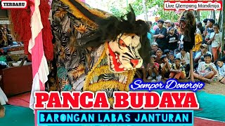 BARONGAN LABAS JANTURAN || PANCA BUDAYA || Live Karangendep Glempang Mandiraja