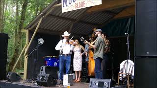 Bluegrass in the Moonshine Glade at Twinwood 2021