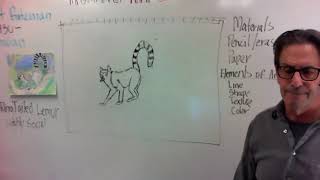 Ring Tailed Lemur Drawing Project