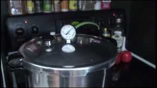 Pressure Canning Wort For Making Yeast Starters