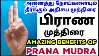 பிராண முத்திரை பயன்கள்| Prana mudra benefits| கண் பார்வை தெளிவாக| Oxygen increase tamil| health tips