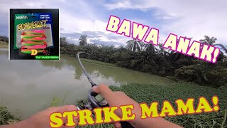 MASTA SWIMBAIT 80MM SOFT PLASTIC CASTING STRIKE HARUAN TOMAN