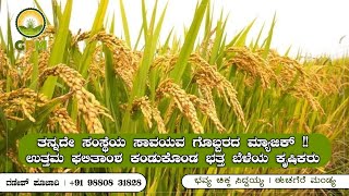 ಸಾವಯವ ಗೊಬ್ಬರದ ಮ್ಯಾಜಿಕ್!!!