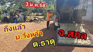 จัดส่งโดย บ่าวตึ๋งปทุมราช /3ม.ค.67/080-188-5110