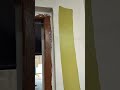 apply green color 7807 shorts youtubeshorts homepainting