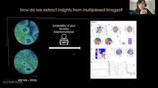 SPACEc: A Streamlined, Interactive Python Workflow for Multiplexed Image Processing and Analysis