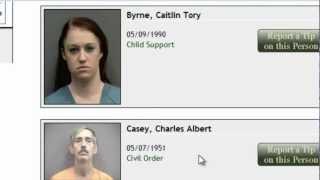 Free Florida Criminal Records Search