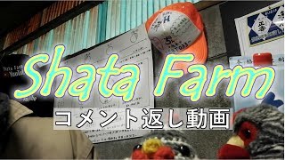 20190130 遮熱ペイント「レディヒート」どぅでしょう!?本日も頑張りましょう!!／きゅうり農家／きゅうり栽培／愉快なshata農園