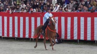 2016 八代 妙見祭 19