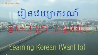 한국어 문법 고싶다/고 싶어하다 | វេយ្យាករណ៍កូរ៉េ ចង់ | Korean Grammar 고 싶다 vs 고 싶어하다