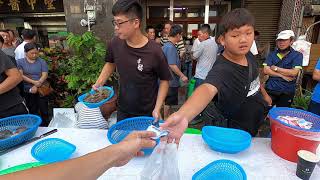 Taiwan Seafood Auction - Beautiful Fish Salmon Fish Cutting Octopus Squid Sell Low Price