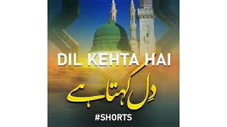 Dil Kehta Hay Ek Naat Kahoon - Hafiz Muhammad Zubair - Peace Studio Shorts #shorts