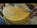 opening a wheel of parmesan cheese (parmigiano reggiano)
