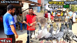 নয়াবাটি কবুতর হাট খুলনা ১৪-২-২৫ pigeon market in bangladesh,khulnapigeon market#নয়াবাটি কবুতরের হাট